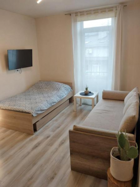 Studio near Old Town